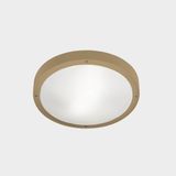 Ceiling fixture IP66 BASIC LED 11.7W 2700K Gold 1269lm