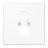 Centre plate for 2 loudspeaker sockets LS962WW