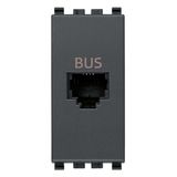 BUS RJ11phone jack grey