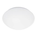 Rs Pro Led P2,White,Pmma,Ip54,4000K,Ø320