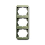 1733-260 Cover Frame alpha Palladium