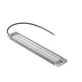 LED module, 24 V DC ± 10%, 5000K, White, 822 lm, Pre-assembled cable