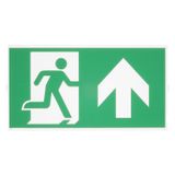 P-LIGHT Emergency stair sign, big, green