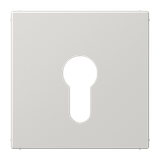 Centre plate f. key switch LS925LG