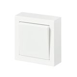 1066A-884 Switch Rocker/button Two-way switch White - Impressivo