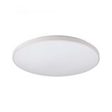 AGNES ROUND LED WHITE 64W 3000K IP44