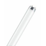 Lumilux T8 Fluorescent Tube 590mm White 18W/835