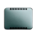 6541-266 CoverPlates (partly incl. Insert) carat® titanium