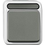 Cross switch, 1-pole, light gray, AQUASTAR