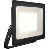 Eden Floodlight 150W Cool White