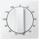 Central plate for timer insert 120 min, polar white, system M 539219