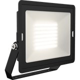 Eden Floodlight 70W Cool White