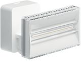 LED floodlight 2000 lm, white