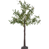 Decorative Tree Olivec
