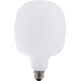 LED E27 Fila XXL TO120x198 230V 550Lm 6W 925 AC Matt White Dim