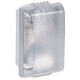 Bulkhead light Plexo - IP 54 - IK 08 - rectangular - 55 W incandescent - clear