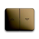 1785 JA-21 CoverPlates (partly incl. Insert) carat® bronze