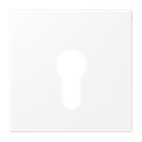 Centre plate f. key switch LS925WWM