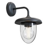 Outdoor Wall Lamp Merline