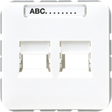 Center plate f. modular jack AT&T CD569-2ATWW