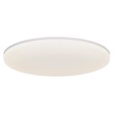 Vic 35 4000K Ceiling light White