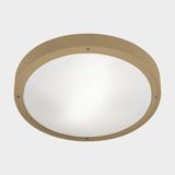 Ceiling fixture IP66 BASIC E27 E27 15;15W Gold