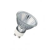 Halogen lamp Philips Tw Alu 2000h 50W GU10 230V 40D 1CT/10X5F