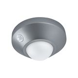 NIGHTLUX® Ceiling Silver