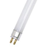 T4 16W/842 960lm 12X468 excl. pins Cool White