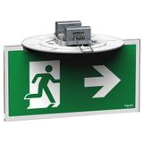 Exiway Smartbeam DiCube - emergency luminaire - flush - escape - 1.5 h