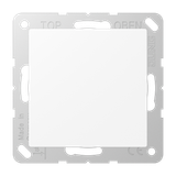 Blank centre plate A594-0WWM