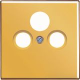 Centre plate for SAT-TV socket GO2990SAT