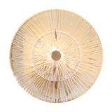 Modern Aster Wall Lamp Gold