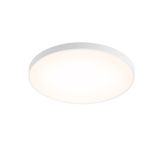 Ara Surface LED Downlight 40W 3600Lm 4000K IP44