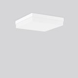 FLAT QUADRAT, 19 W, 1500 lm, 840, white, Phase-cut Ceiling and wall lu