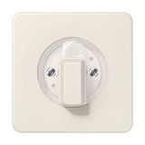 Centre plate f. dimmer CD1541