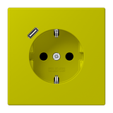 SCHUKO socket with USB type C LC4320F LC1520-18C249