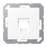 Centre plate for modular jack sockets A1569-15WEWWM