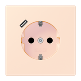 SCHUKO socket with USB type C LC32082 LC1520-18C226