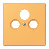 Centre plate for SAT-TV-FM LC4320L LC990SAT254