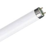 Fluorescent Tube TL F 36W T8 5500K G13