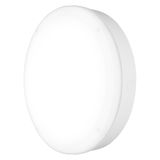 SURFACE BULKHEAD 300 EMERGENCY 15W 840 WT IP65