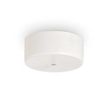 ROSONE MAGNETICO 1 LUCE BIANCO