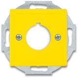 2533-82-15 CoverPlates (partly incl. Insert) future®, Busch-axcent®, solo®; carat®; Busch-dynasty® yellow