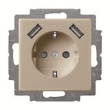 20 EUCB2USB-93-507 Socket insert Protective contact (SCHUKO) with USB AA champagne - Basic55