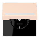 SCHUKO socket, with hinged lid, with ins LC1520BFNAKL226