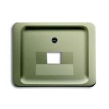 1803-260 CoverPlates (partly incl. Insert) carat® Palladium