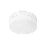 Ceiling fixture IP20 Farrow E27 40W White 840lm