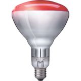 BR125 IR 250W E27 230-250V Red 1CT/10