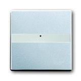 1764 NLI-83 CoverPlates (partly incl. Insert) future®, Busch-axcent® Aluminium silver